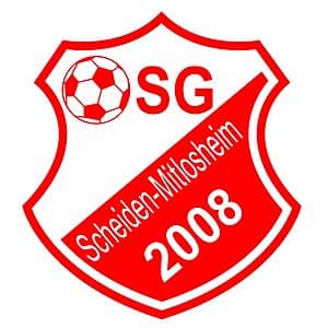 Home Team